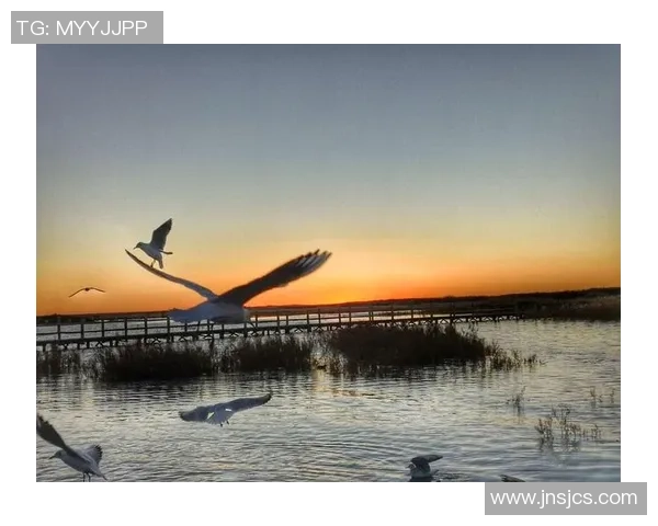 李小笨足球明星的成长之路与梦想追逐的精彩故事